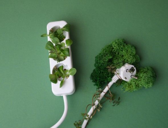 Regleta con plantas y un enchufe entre musgo sobre fondo verde: rehabilitación sostenible